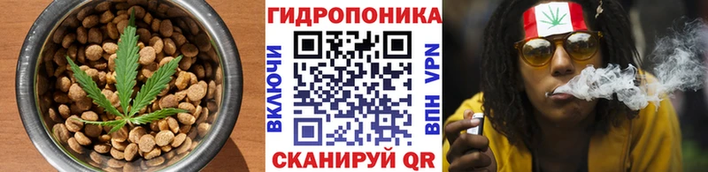 Cannafood марихуана  Купить закладки  Шумиха 